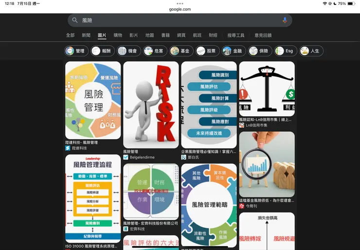 Google搜尋「風險」結果