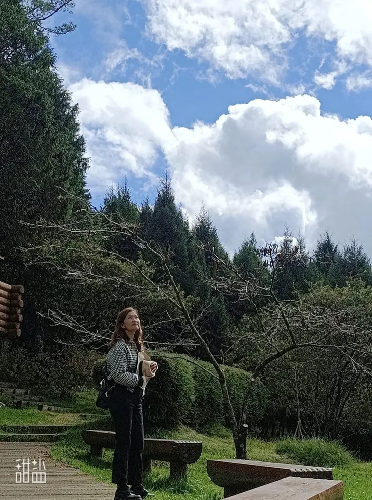 阿里山的天氣真棒啊!