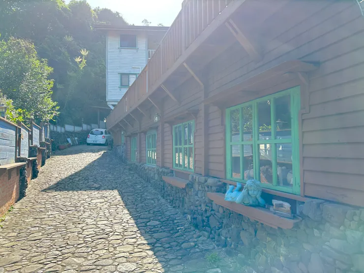 今天陽光正好，好多逆光照拍起來都好溫柔，好喜歡