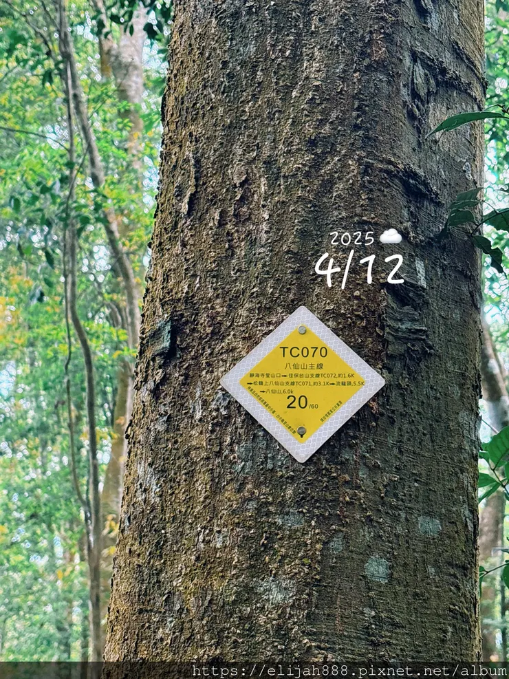 【谷關健行/住宿】谷關七雄老大。海拔2366公尺八仙山主峰。