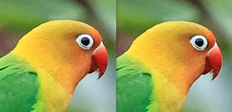 左為機內放大，右為原解析度