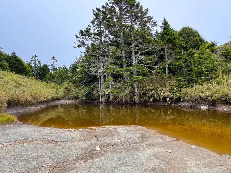 往新逹山屋的看天池