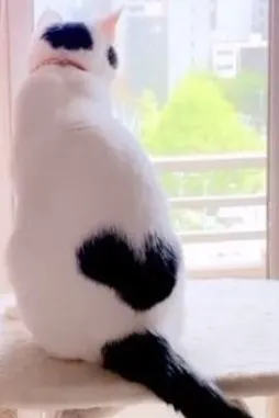 相信一切都會好好的！