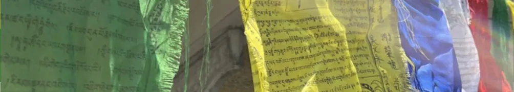 觀音山吉祥洲的沙龍