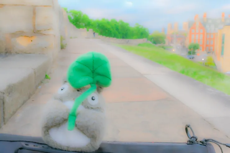 回頭望去,長長的城牆上通道,以及盡頭處的約克大教堂