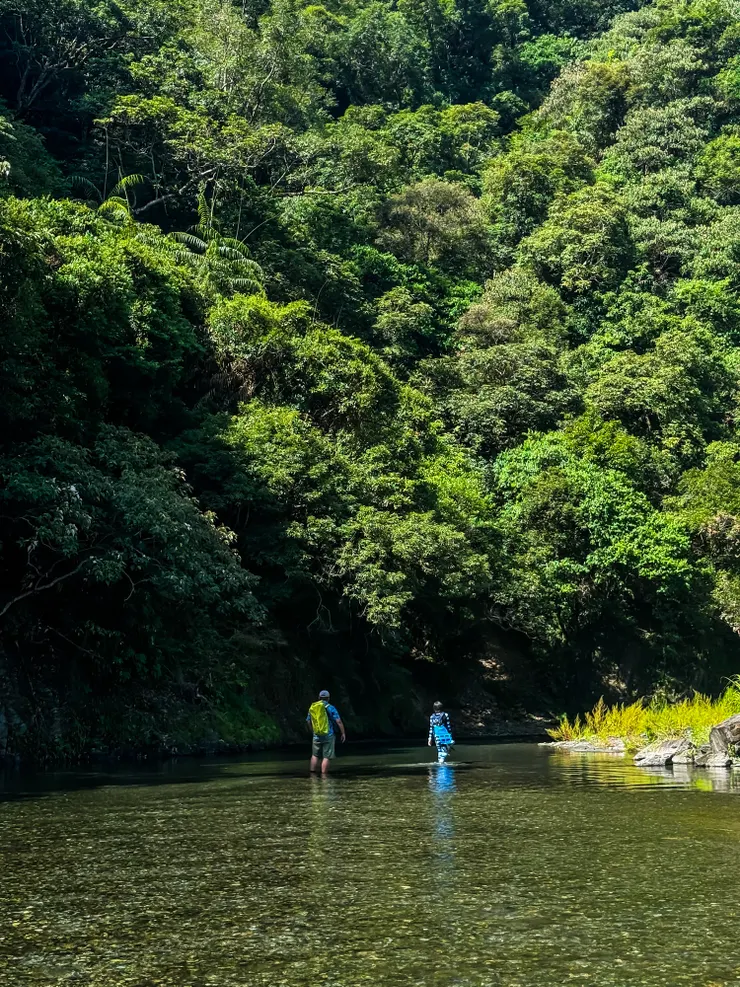 被山和溪水環抱著,自由自在的感覺真好~