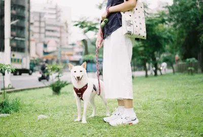 【無法抹滅的日常】 影像