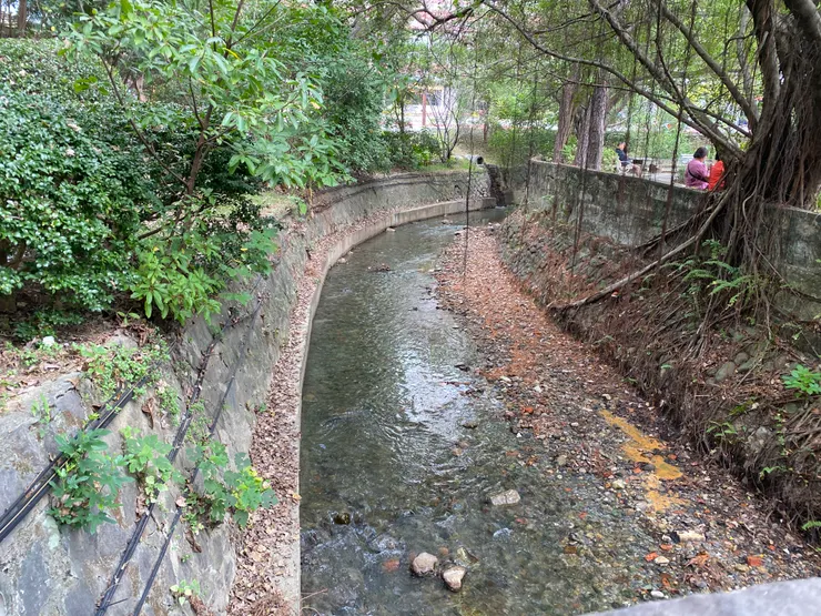 潺潺流過的北投溪