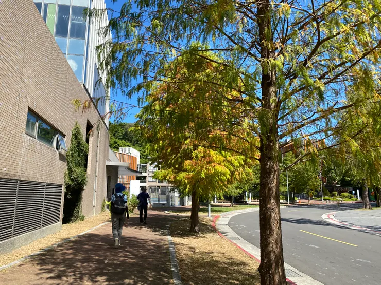 永建國小周邊環境清幽