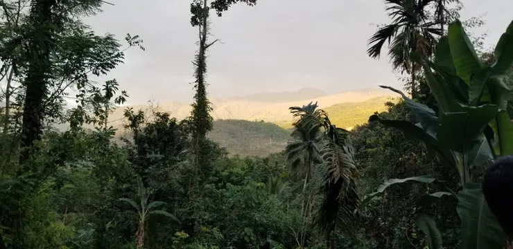 比上班工時還要長的觀鳥日，辛苦導游了！