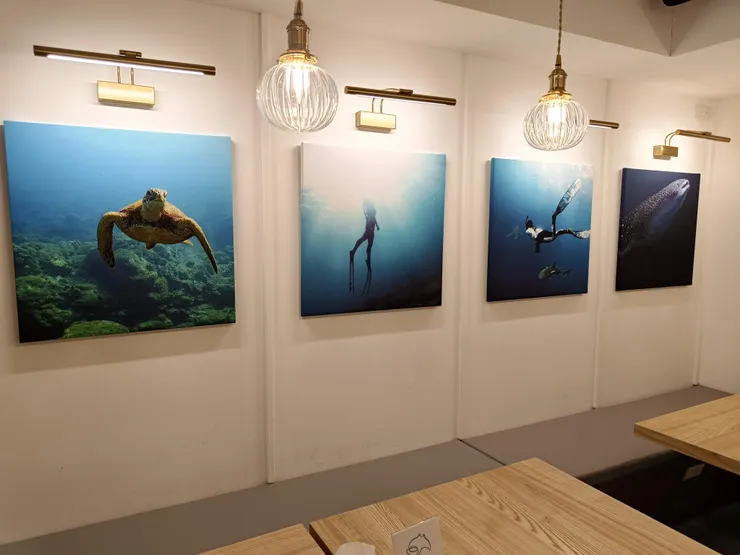 十分療癒的一家咖啡廳