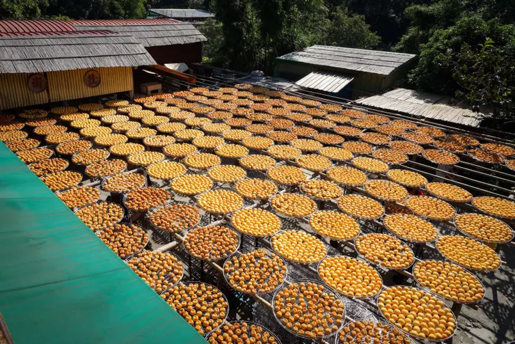 從二樓俯拍的曬柿場