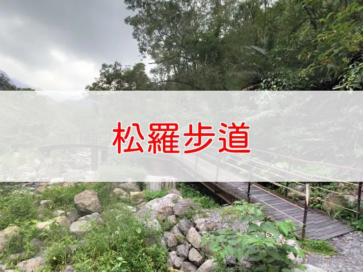 【宜蘭】松羅步道 | 全長里程：單程 3.5 公里 | 難易度：低，適合各年齡層健行者