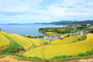 在山多平原少的海岸邊，梯田可說是大村線的代表風景之一