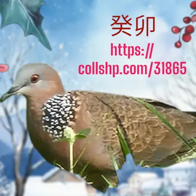 癸卯的推廣沙龍