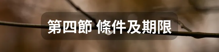 第四節 條件及期限