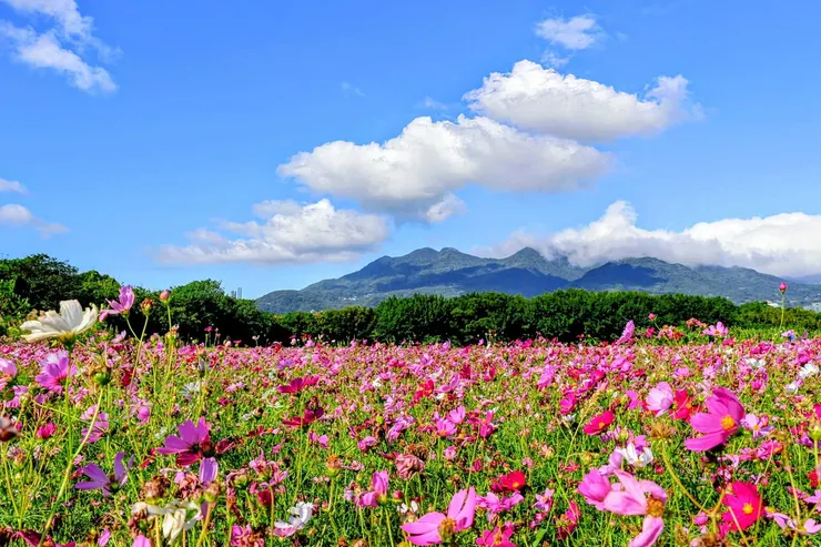 平凡中最美的景