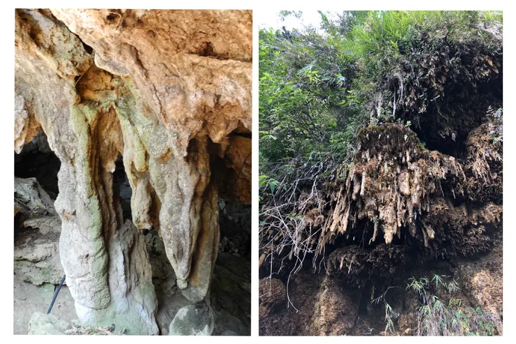 綠島石灰岩洞穴中的鐘乳石（左）；南投武界的石灰華壁（右）