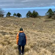 島嶼冒險誌的沙龍