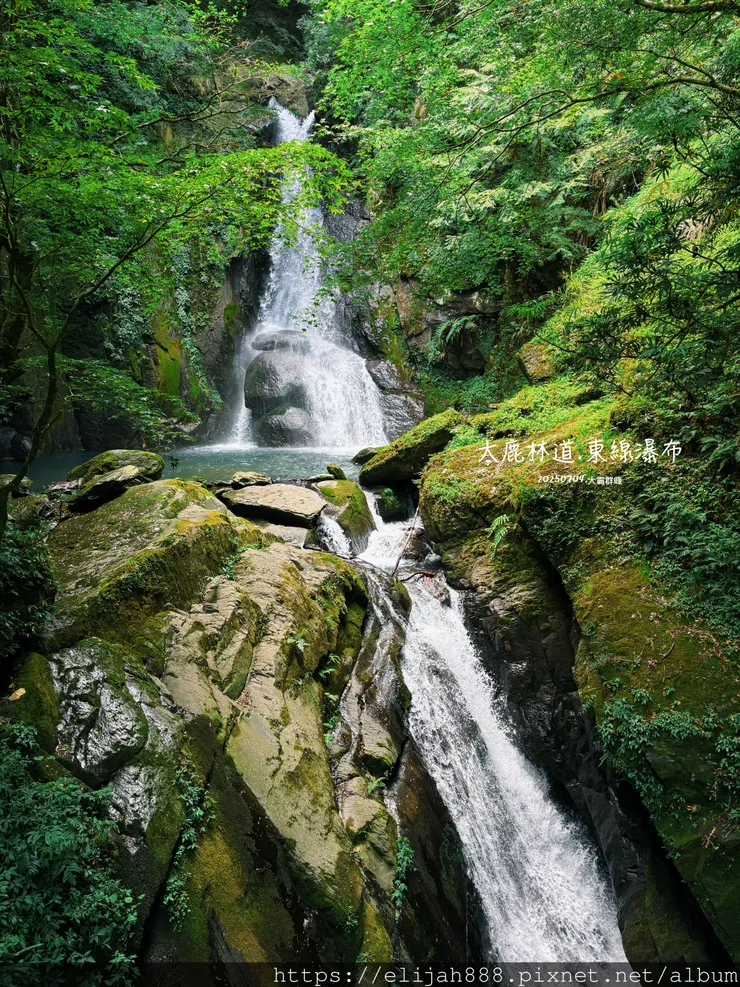 【大霸群峰4百岳。兩天一夜】觀霧大鹿林道東線騎越野單車/馬達