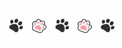 三隻黑白貓的奴隸