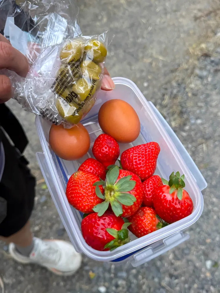 昨天吃剩的食物是今天的早餐