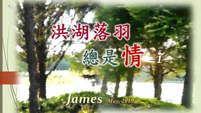 〈洪湖落羽總是情〉第一輯