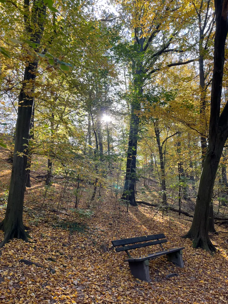 【德國生活】秋季郊遊