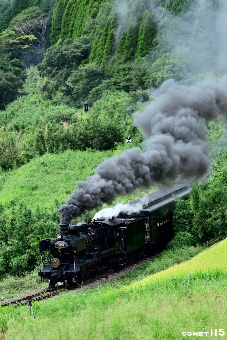 明年即將退役的蒸汽機車睽違18年再次造訪阿蘇！
