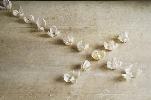 馮君藍「道在萬物」系列作品《佳美的腳蹤》圖片來源自 基督教今日報