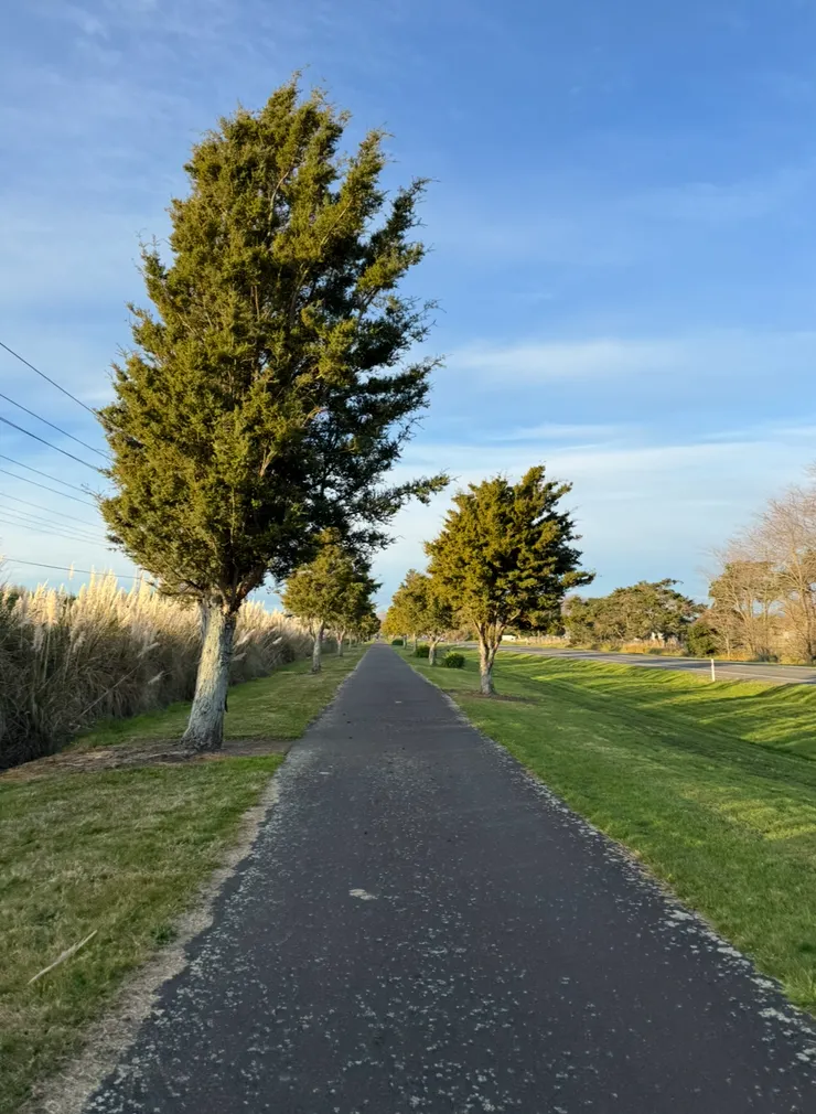 星期四這天狀況很差，跑很慢很慢，但把目標時間跑完