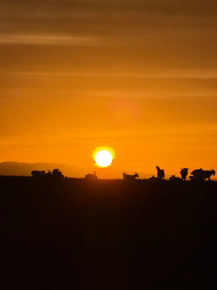 photo credit: 許明英