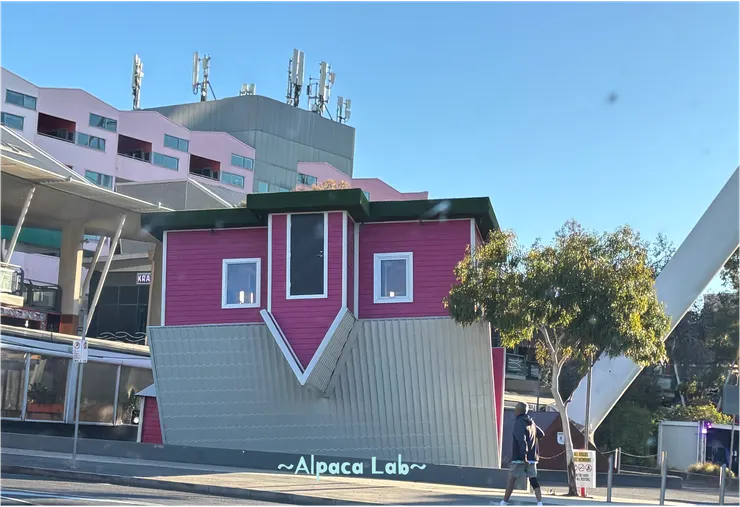 墨爾本House Down Under，26/1/6，市區內超酷顛倒屋🏠