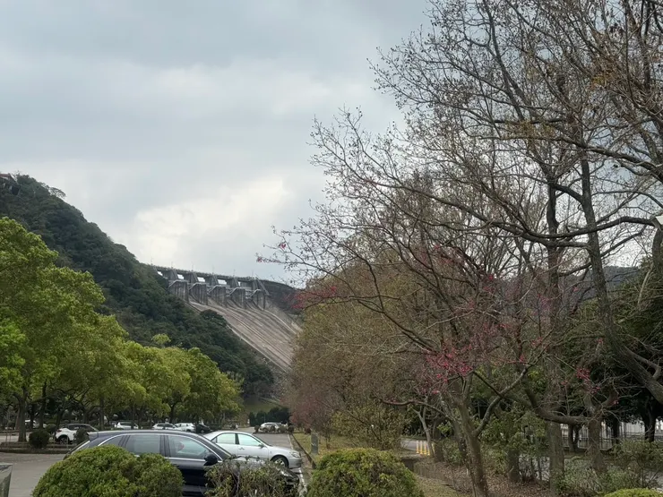 兩排空出了視野-「溢洪道」
