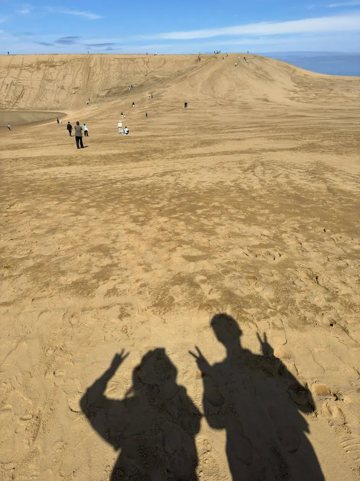 努力前往馬背中