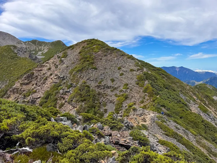 找找阿鵝在那裡？