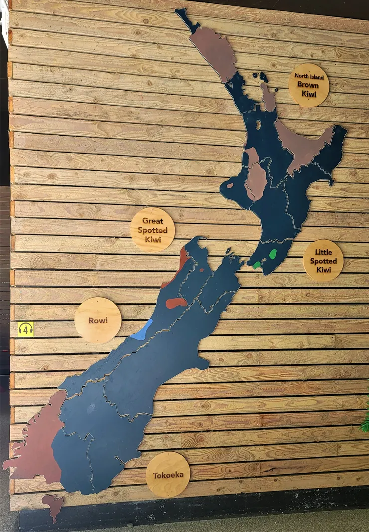 紐西蘭5種奇異鳥的分布(攝於皇后鎮奇異鳥公園)