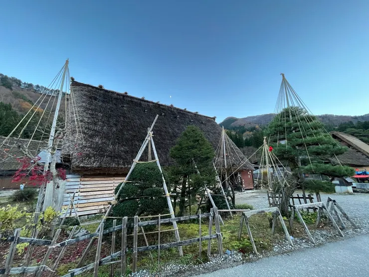 兼六園也有類似的設置，不知道是什麼園藝用途