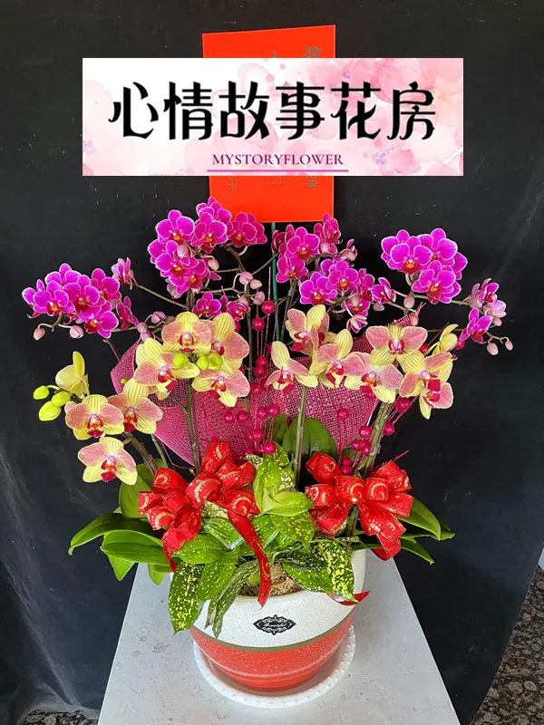 心情故事花房：台南安南區最大花店，專業服務與多樣化花卉商品贏得全台南市客戶的廣泛信任與讚譽