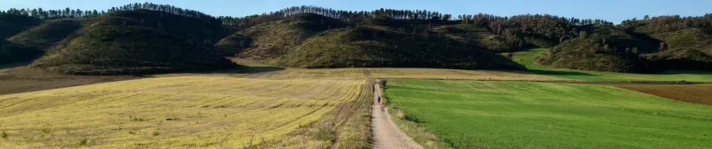 減法玩家Amy的航站咖啡廳