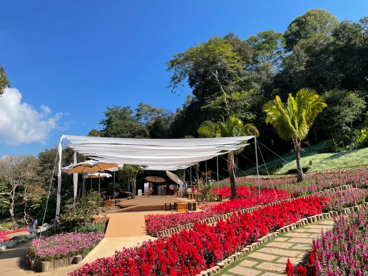 皇太后行宮文青咖啡館