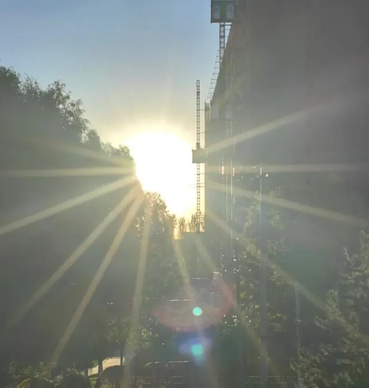 城市晨光灑落於花園的景象