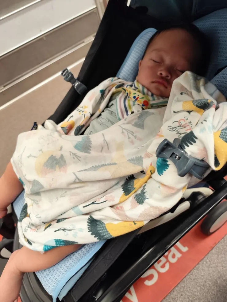 涼涼的冷氣，適合冬眠😴