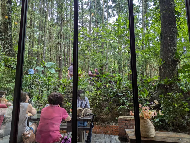 從店內往外看，可以看到有很多森呼吸的空間~