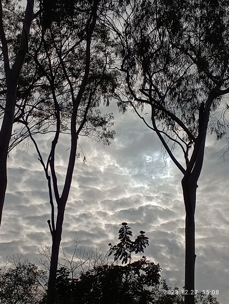 彳亍淒切，夕霞向晚，離情初歇°自拍攝