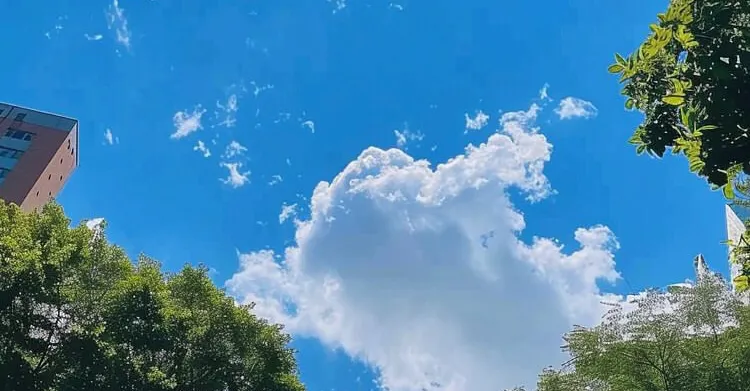 《成長筆記：獻給迷惘的我們》