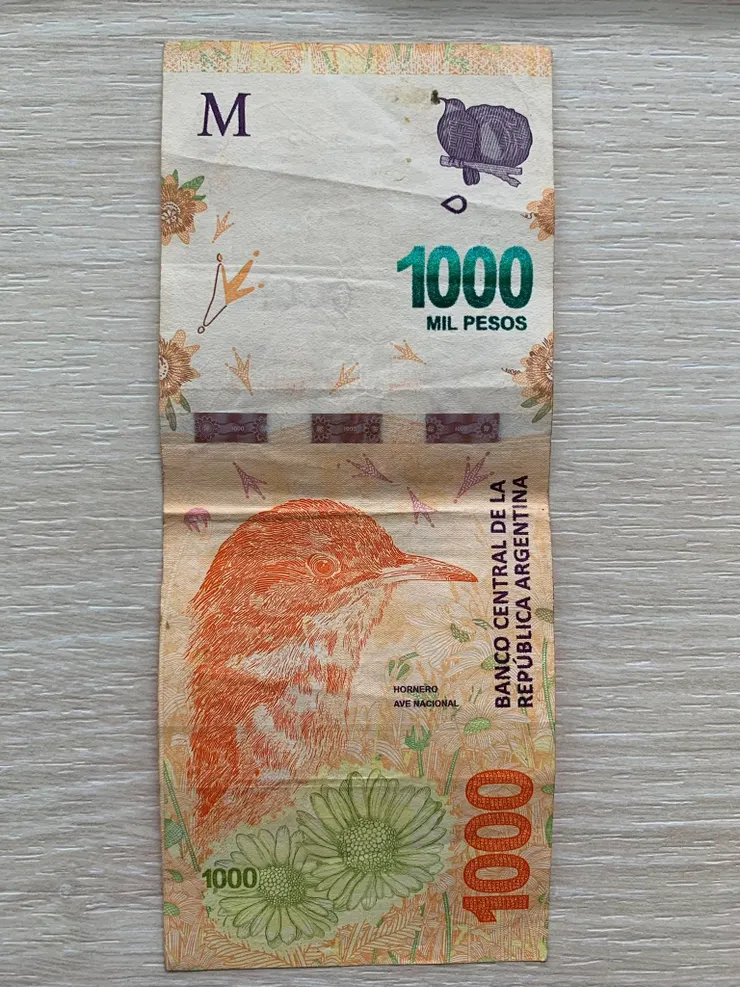 一千披索紙鈔背面。採直式與橫式印刷兼具