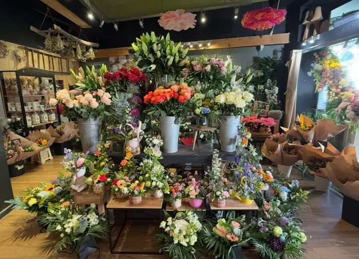 店裡的花花草草非常吸睛
