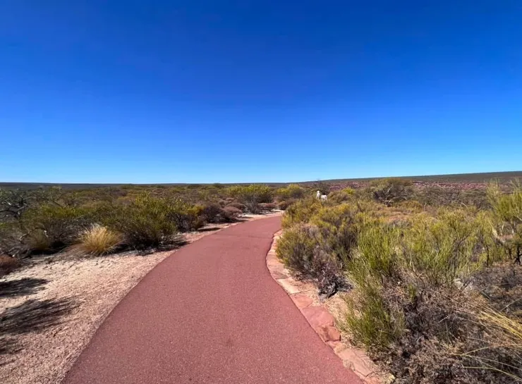 走！我們去給太陽曬