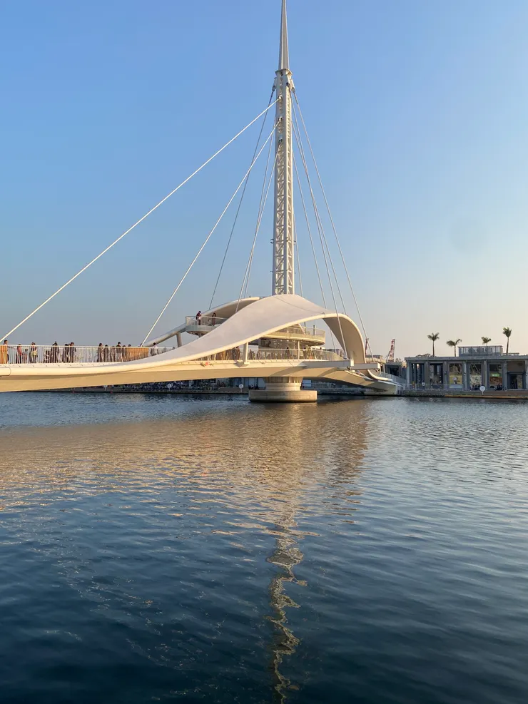 夕照下的大港橋